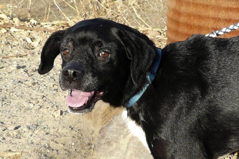 multimedia-foto61341-229-1