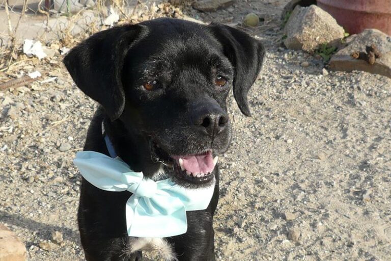 multimedia-foto61342-229-1