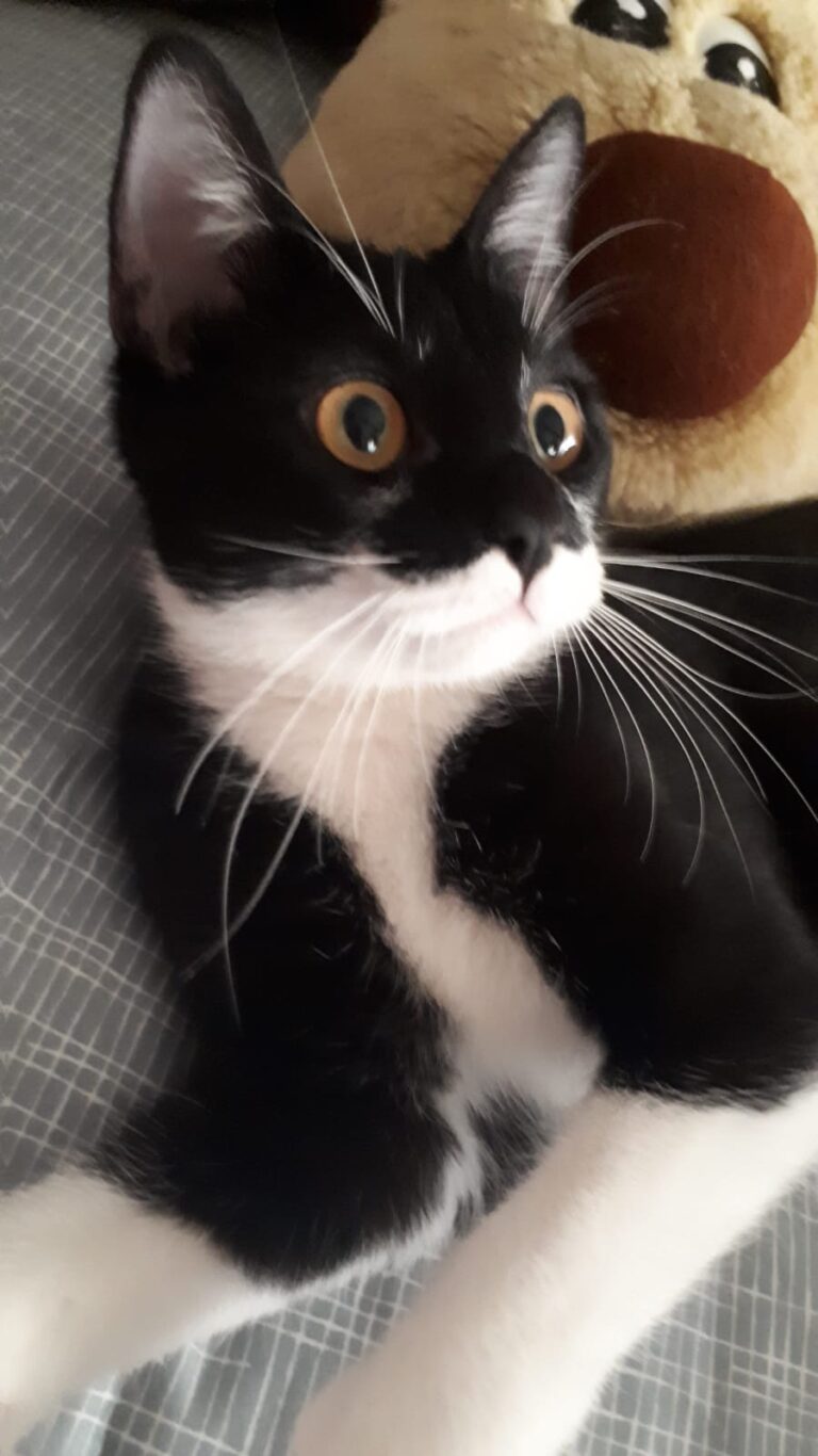 multimedia-foto61435-344-1