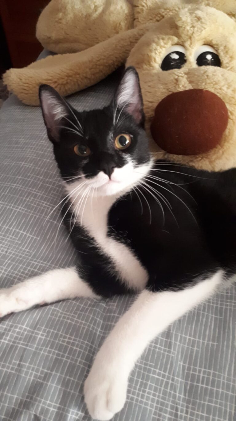 multimedia-foto61439-345-1