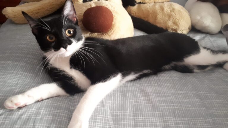 multimedia-foto61440-345-1