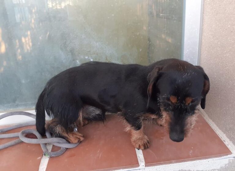 multimedia-foto61442-716-1