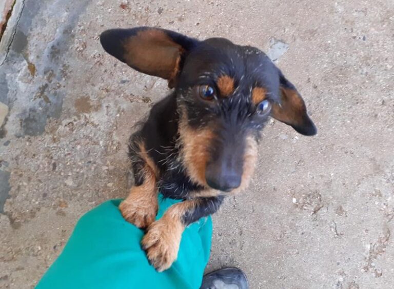 multimedia-foto61443-716-1