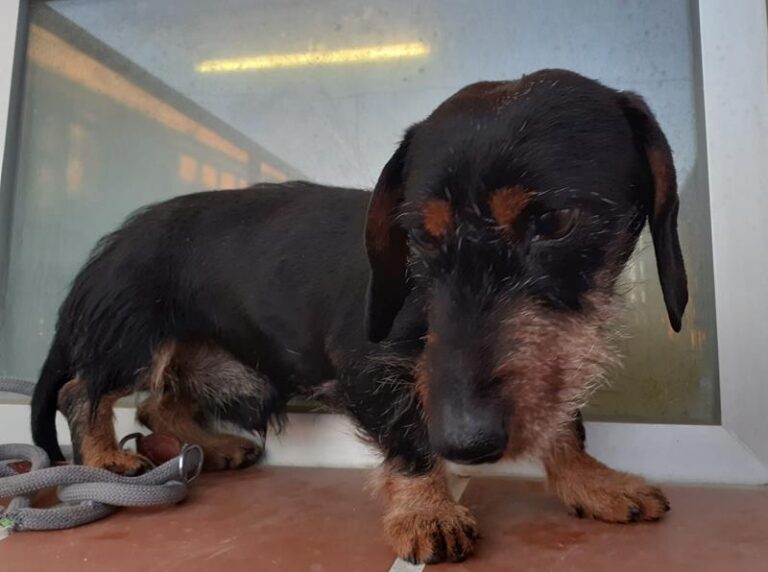 multimedia-foto61444-716-1