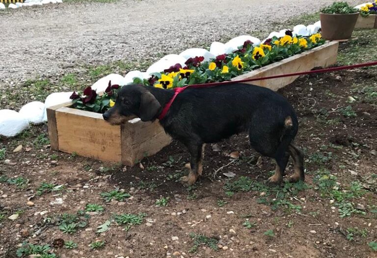 multimedia-foto61446-651-1