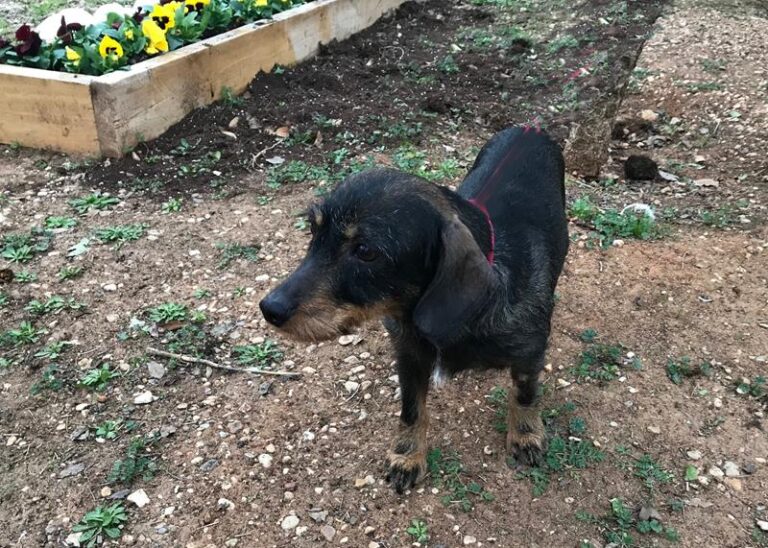 multimedia-foto61447-652-1