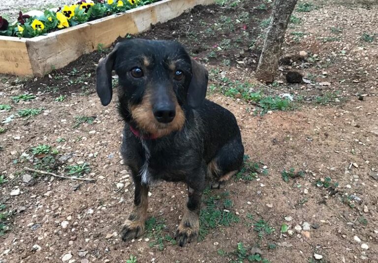 multimedia-foto61448-652-1