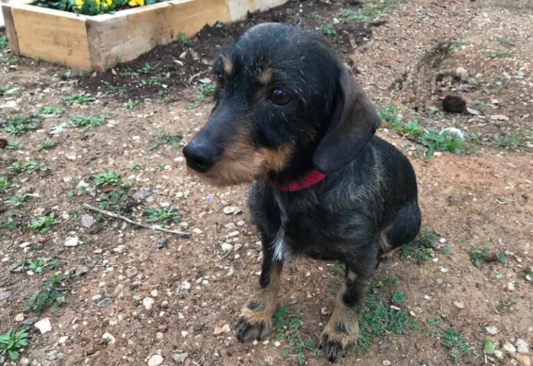 multimedia-foto61449-652-1