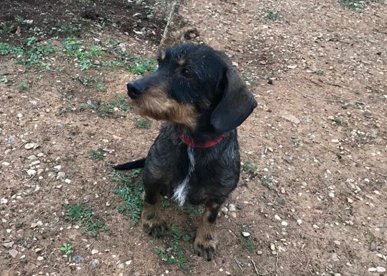 multimedia-foto61450-652-1