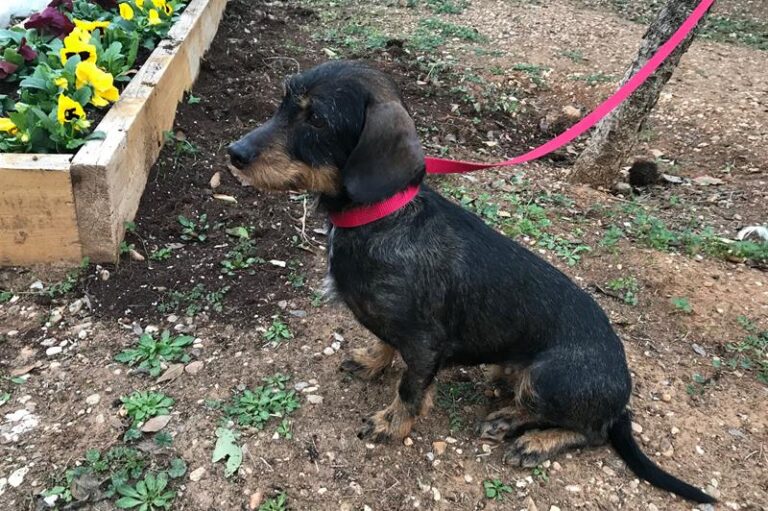 multimedia-foto61451-652-1