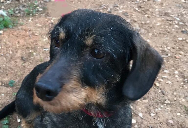 multimedia-foto61453-653-1