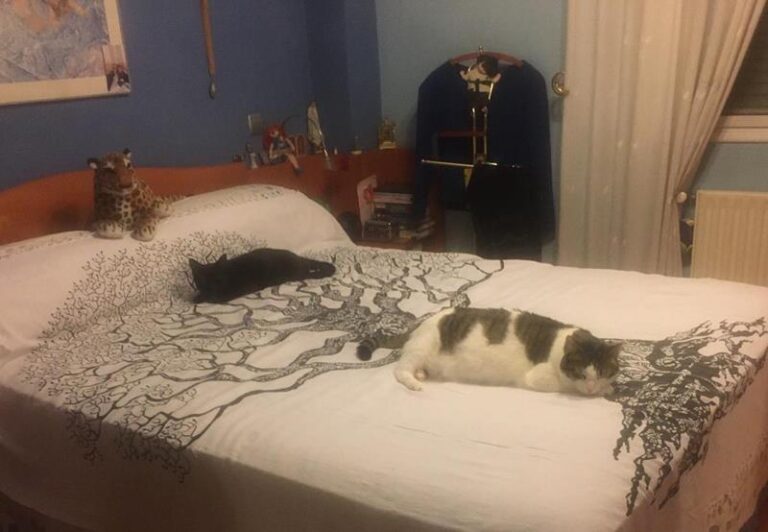 multimedia-foto61456-946-1