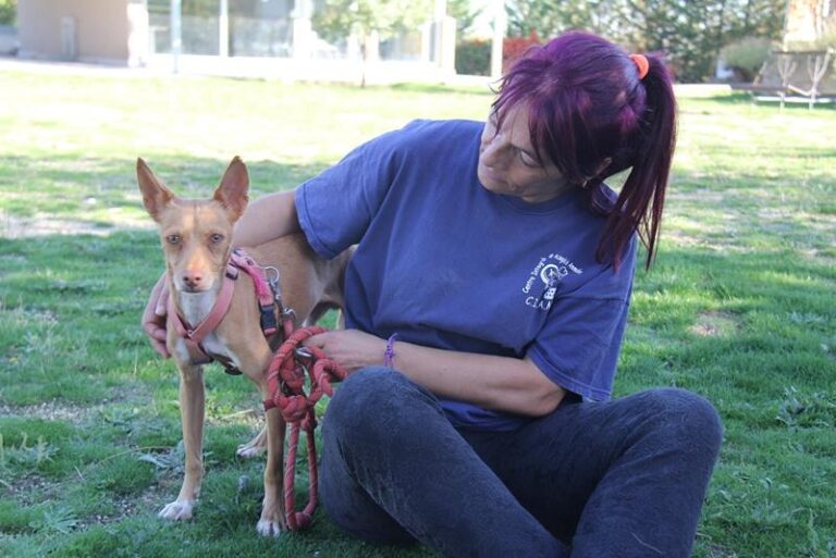 multimedia-foto61474-30-1