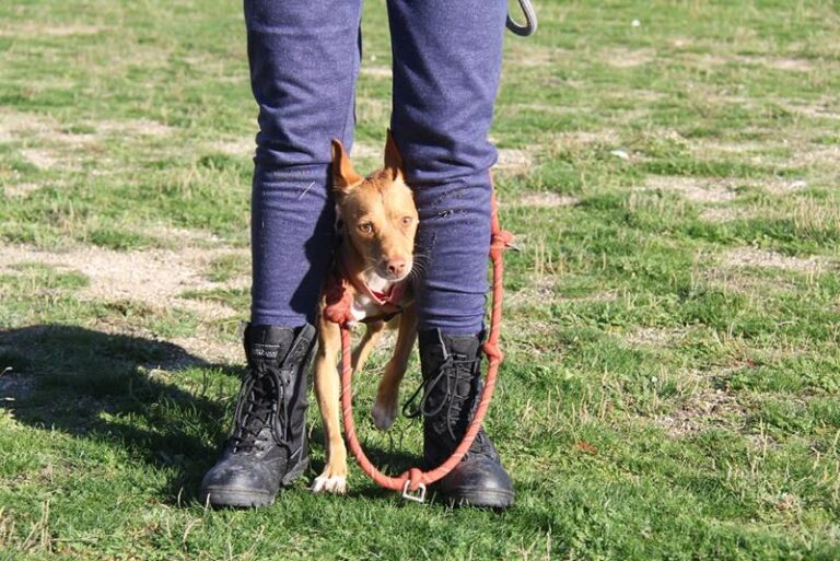 multimedia-foto61475-30-1