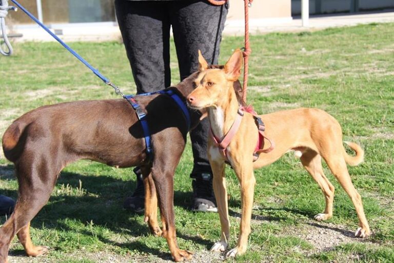 multimedia-foto61476-30-1