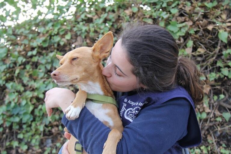 multimedia-foto61477-30-1