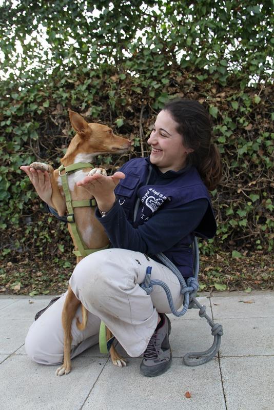 multimedia-foto61478-31-1