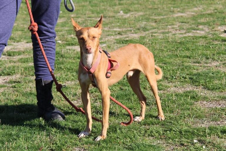 multimedia-foto61481-31-1