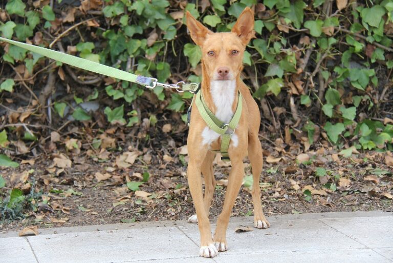 multimedia-foto61482-31-1