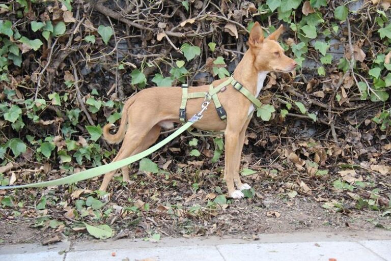 multimedia-foto61483-63-1