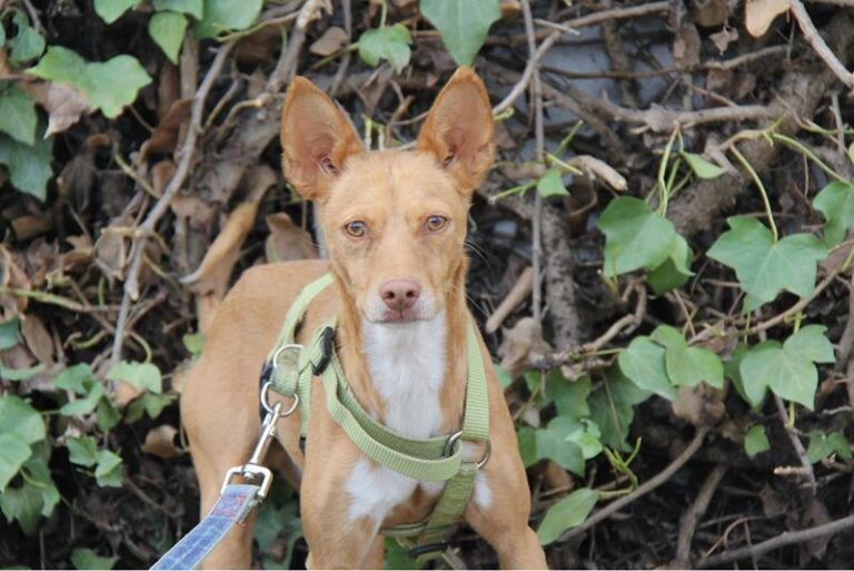 multimedia-foto61484-64-1