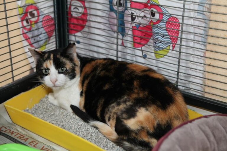 multimedia-foto61495-476-1