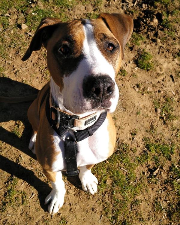 multimedia-foto61501-773-1