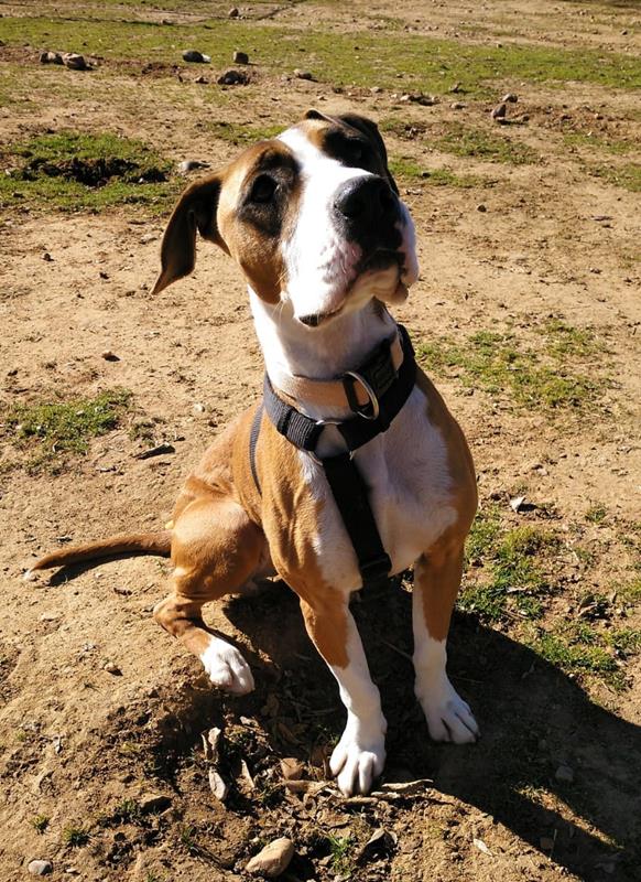 multimedia-foto61502-773-1