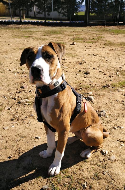 multimedia-foto61503-773-1