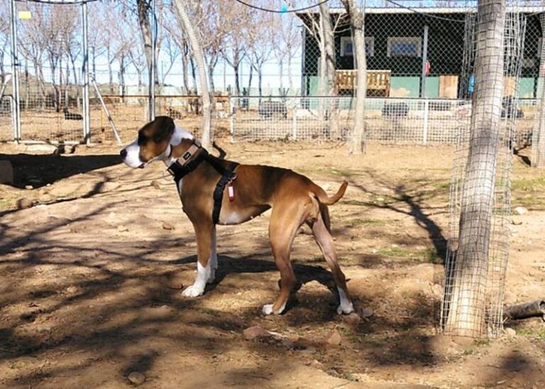 multimedia-foto61504-774-1