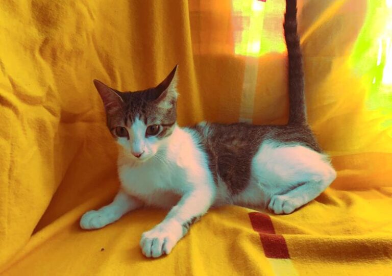 multimedia-foto61537-544-1