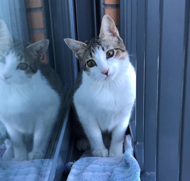 multimedia-foto61539-545-1