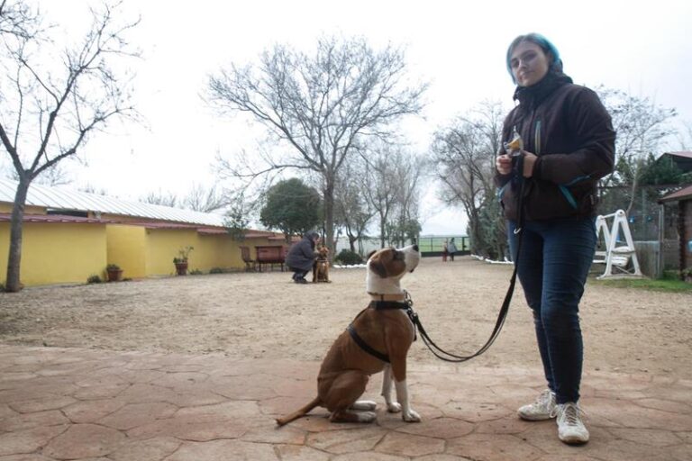 multimedia-foto61540-663-1