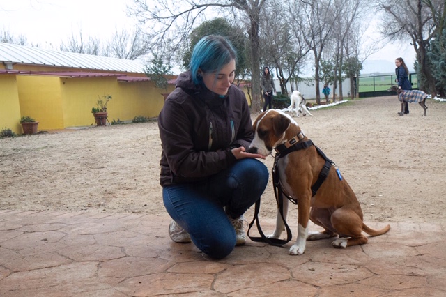 multimedia-foto61541-663-1