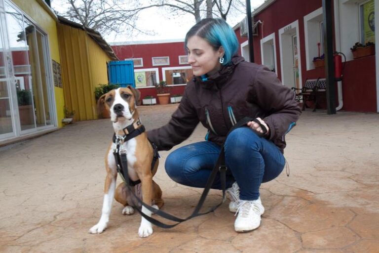 multimedia-foto61542-663-1