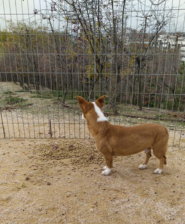 multimedia-foto61619-287-1