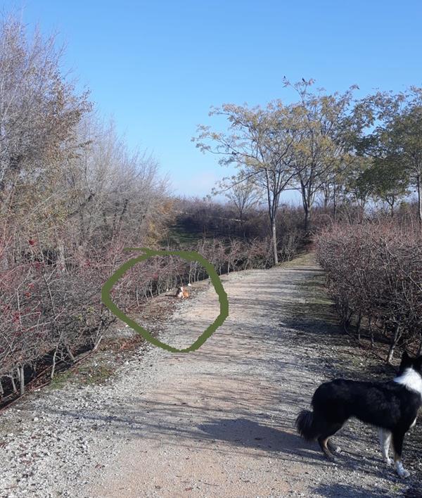 multimedia-foto61625-287-1