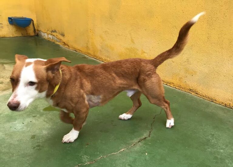 multimedia-foto61627-288-1