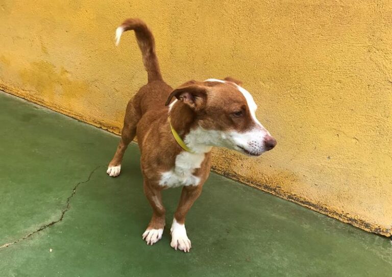 multimedia-foto61628-288-1