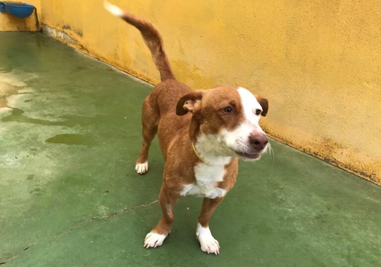 multimedia-foto61629-288-1