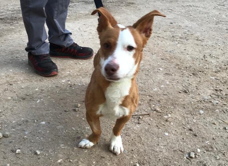 multimedia-foto61630-288-1