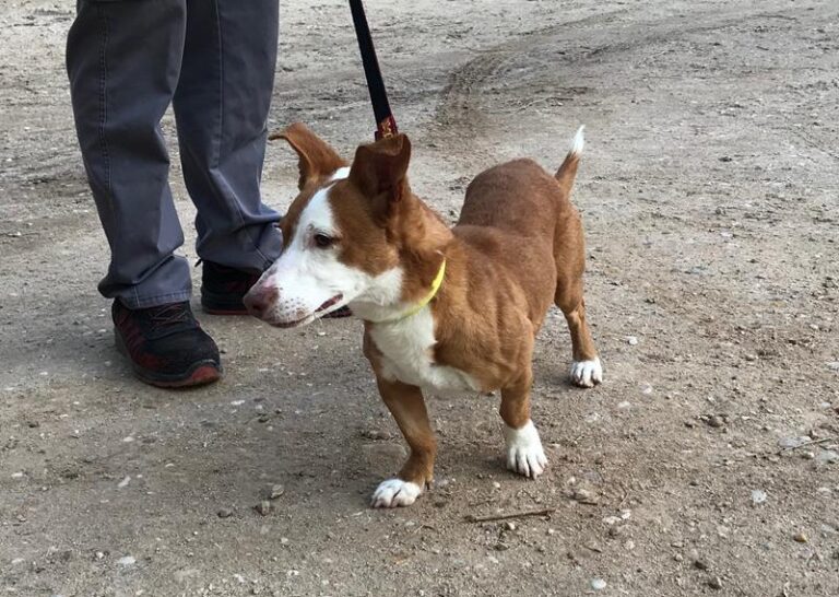 multimedia-foto61631-288-1