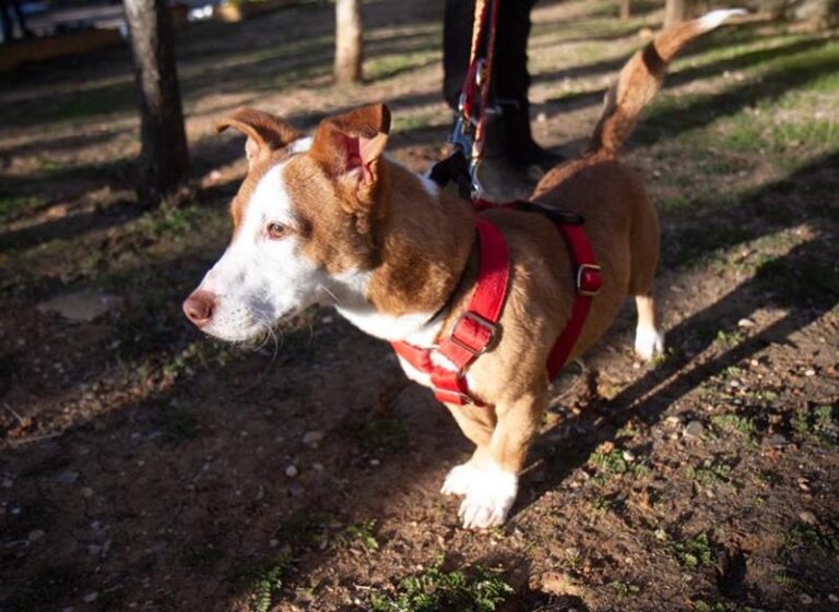 multimedia-foto61633-289-1