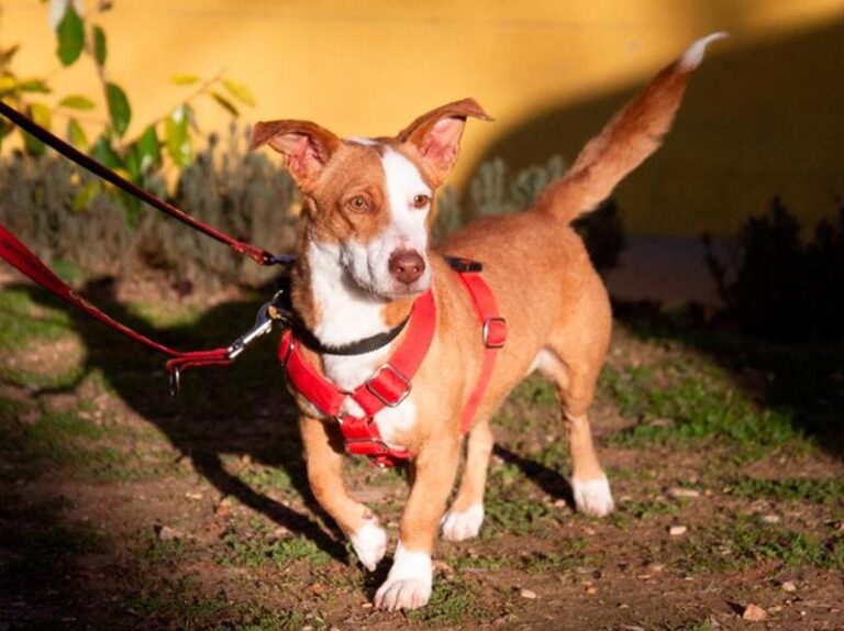 multimedia-foto61634-289-1