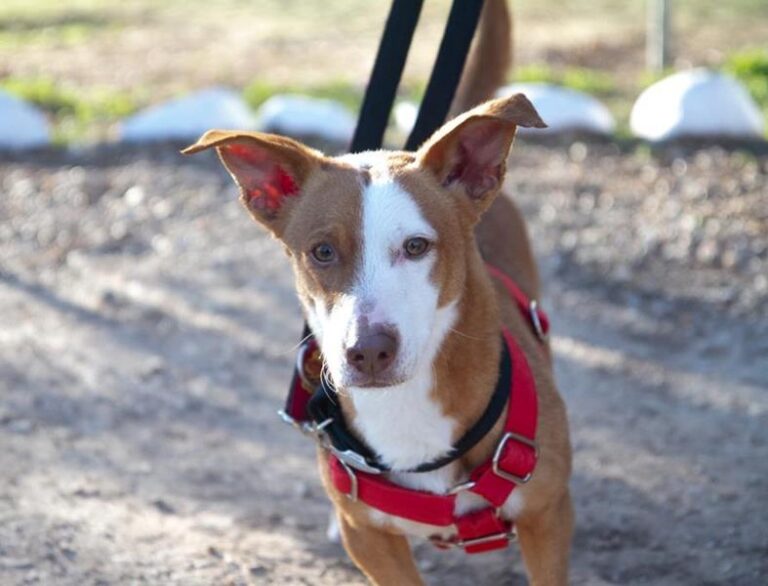 multimedia-foto61636-289-1