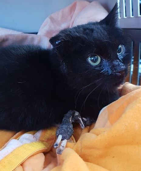 multimedia-foto61638-186-1