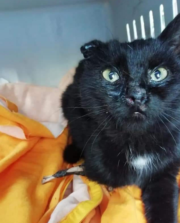 multimedia-foto61639-186-1