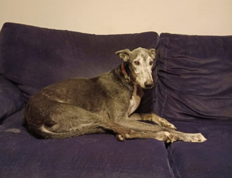 multimedia-foto61640-32-3