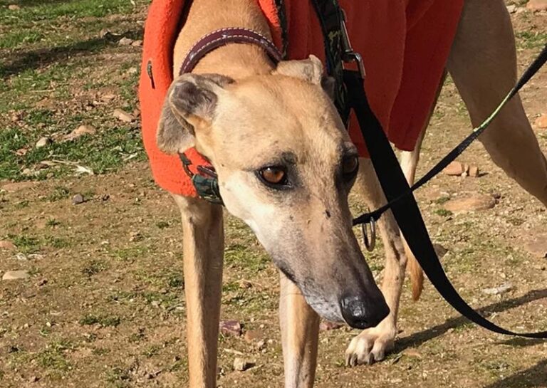 multimedia-foto61643-255-1