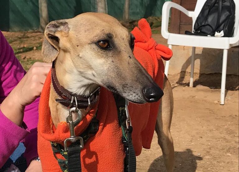 multimedia-foto61644-255-1